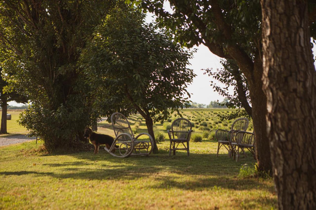 Agriturismo Il Capitolo Carpaneto Piacentino Екстериор снимка